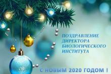 Новогоднее поздравление Д.С.Воробьева
