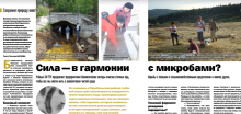 «СИла - в гармонии с микробами?» Журнал «Реальный сектор _№1_2017