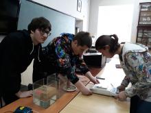 Проект студентов Биологического института ТГУ «Microplastic Siberia» - единственный проект из России, попавший в лонг-лист программы Enactus