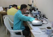 Ученые ТГУ ведут исследования экосистем в месте, выделенном под АЭС