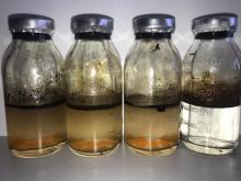 ТГУ и ГК «Дарвин» создали препарат для очистки воды и почвы от нефти