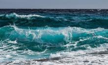 Более 500 видов морской макрофауны могут расширить российский промысел