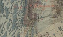 Эксперт ТГУ: как крестьяне 19 века повлияли на современный сибирский лес