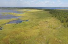 Почвоведы ТГУ обнаружили «горячие углеродные точки» в сибирской Арктике
